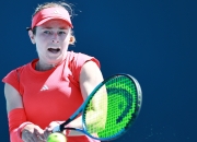 科维托娃连续二十场比赛得分超过持续失利，热火不断突破！